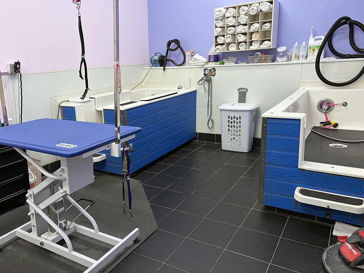 dog grooming
