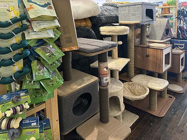 Dog food